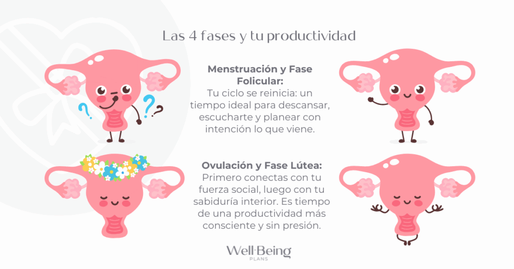 como planificar según tu ciclo mentrual